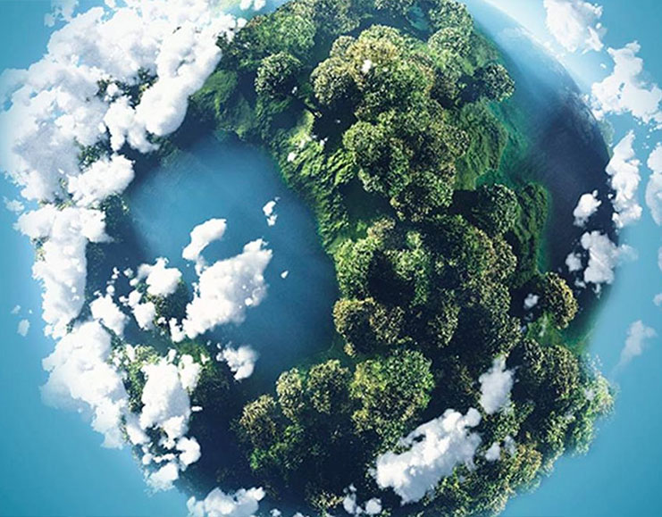 Shanghai Taicikang Co Tionscail, Teo.