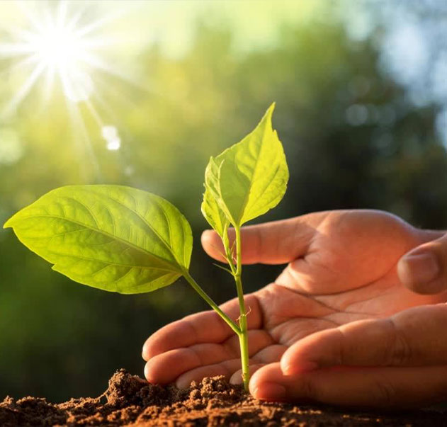 Shanghai Taicikang Co Tionscail, Teo.