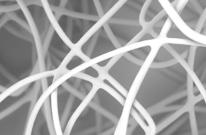 Shanghai Taicikang Co Tionscail, Teo.